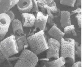 diatomateous%20earth-magnified.jpg