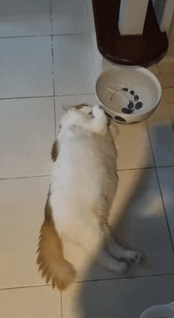 1672933137_2.gif