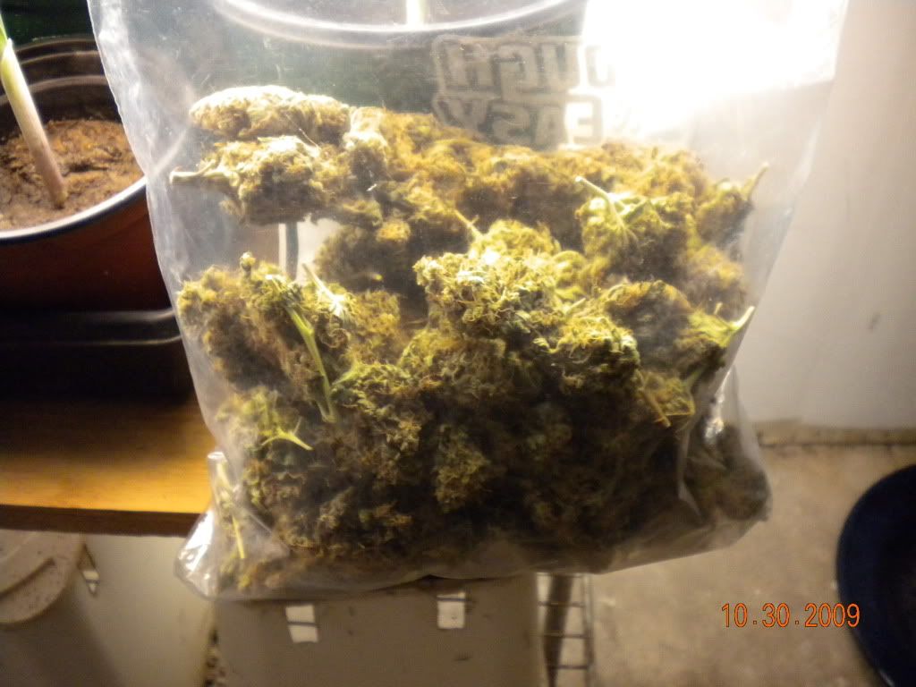 DSCN0711.jpg