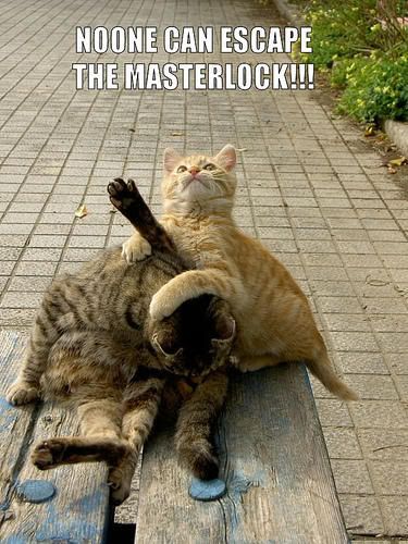 masterlock-1.jpg