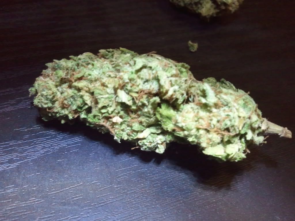 2011-02-21182353.jpg