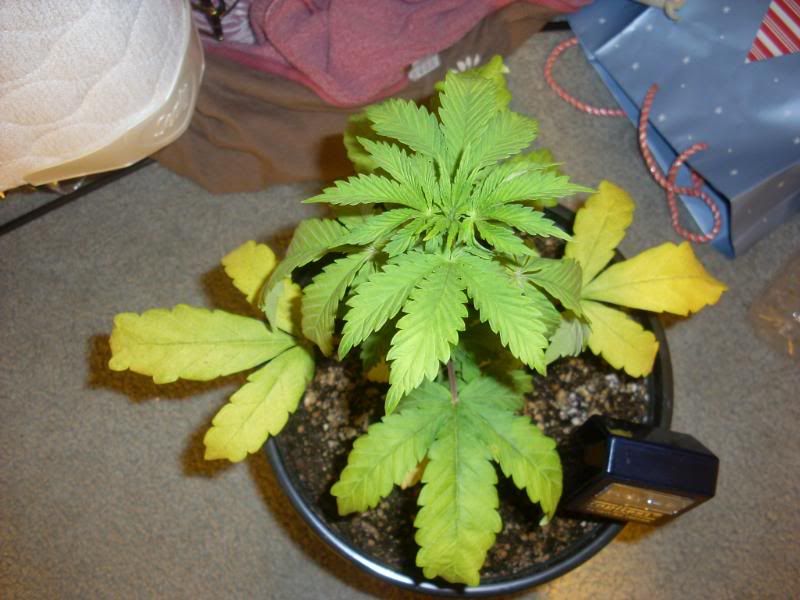 Picture040.jpg