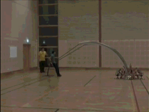 giphy.gif