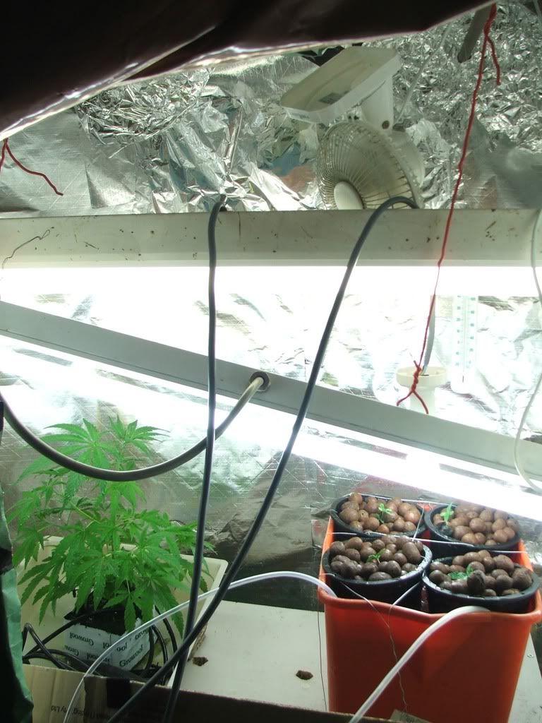 DSCF6990.jpg
