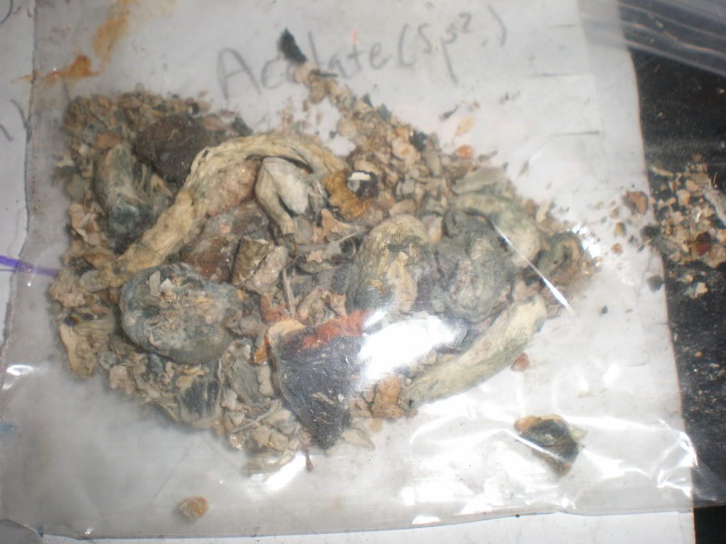 P2250001.jpg