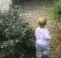 catattack.gif