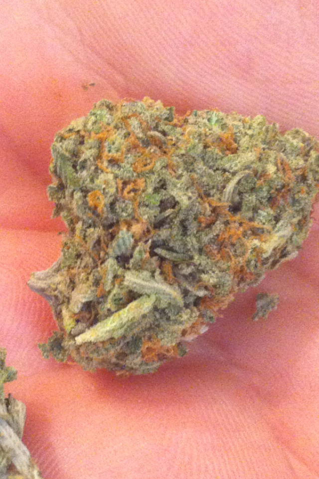 sourkush.png