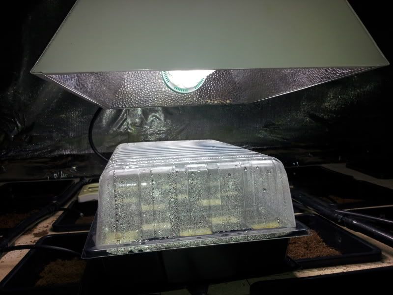 20120514_175442.jpg