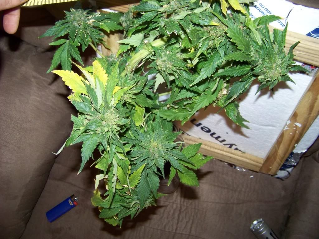 100_5497.jpg