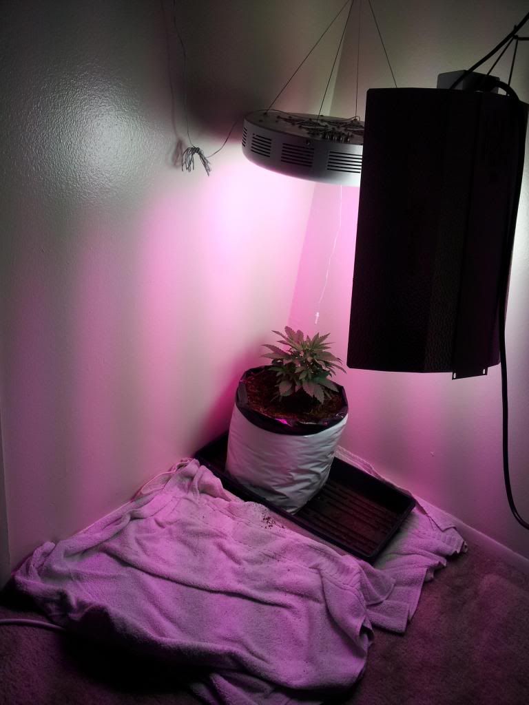 20121106_123016.jpg