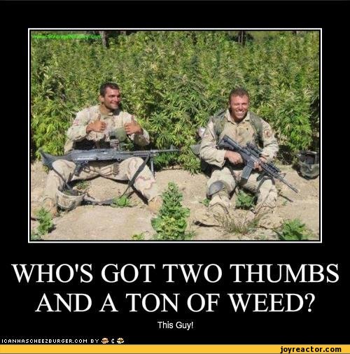 funny-pictures-stoner-humor-auto-506570.jpeg