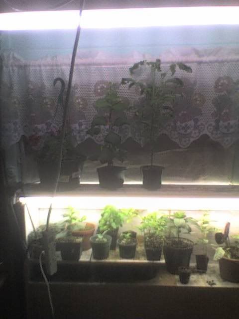 IndoorLighting.jpg