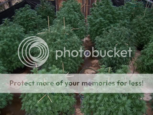 oldcamera043.jpg