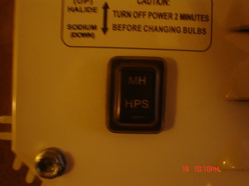 Picture019-3.jpg