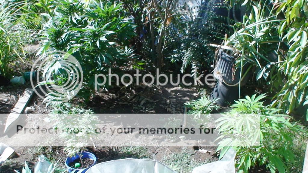 DSC00570.jpg