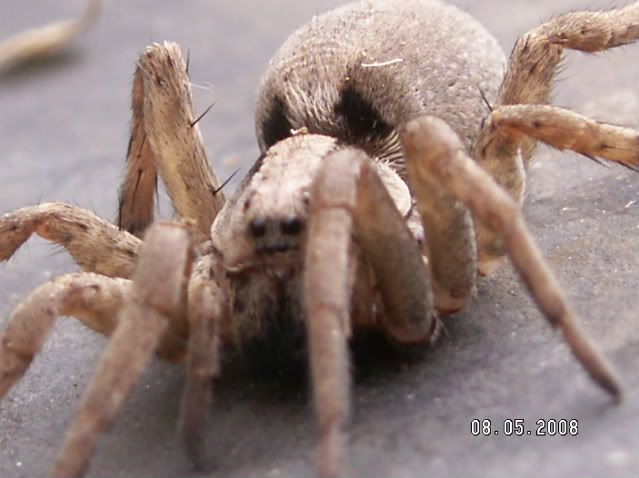 PICT0176-1.jpg