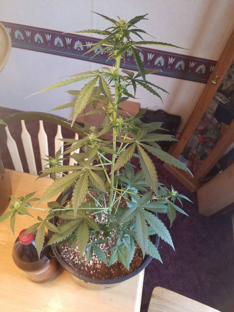 420-magazine-mobile604928675.jpg