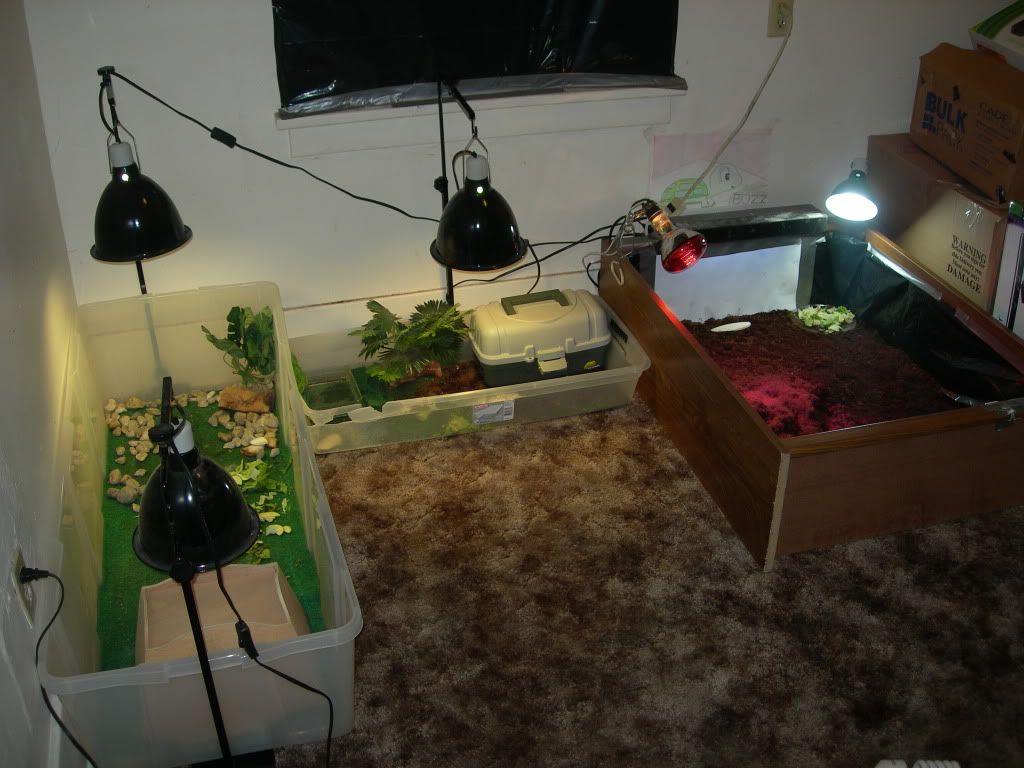 DSCN8986.jpg