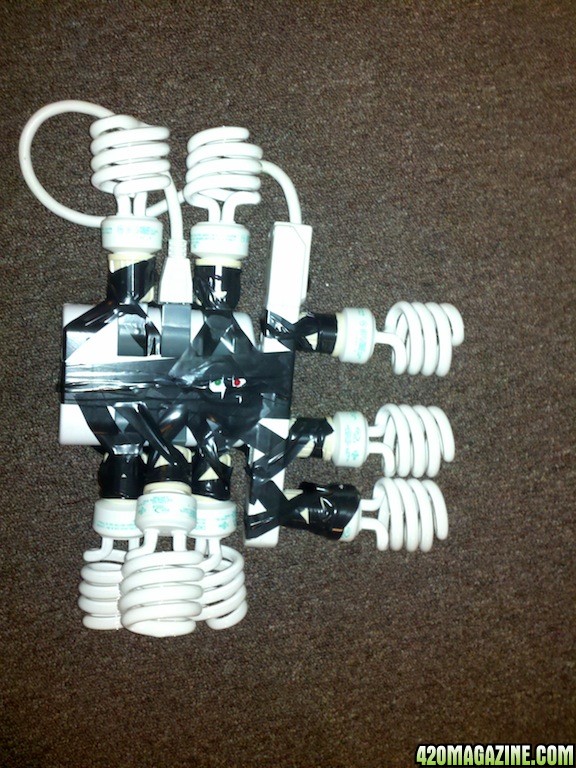 lights23.jpg