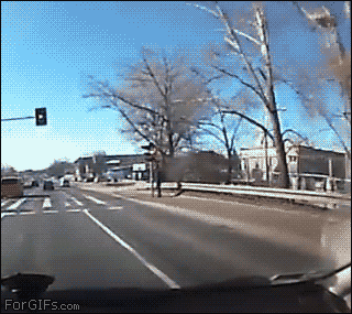 83097364.gif