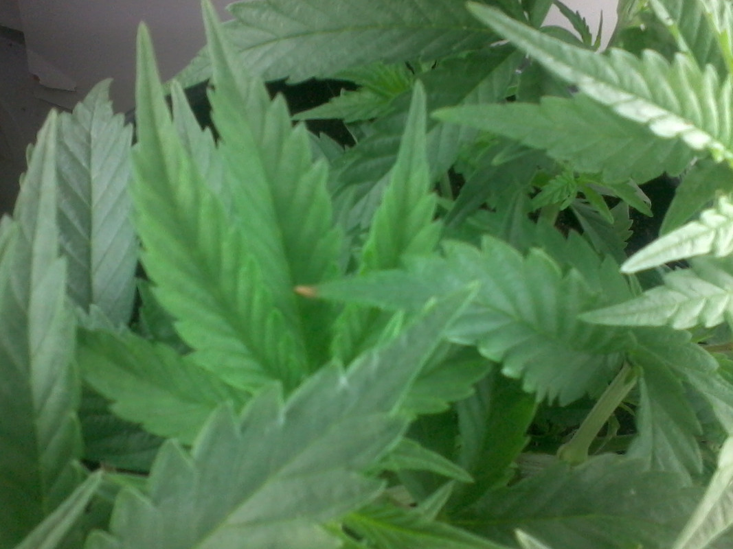 2012_11_23_11_11_57.jpg