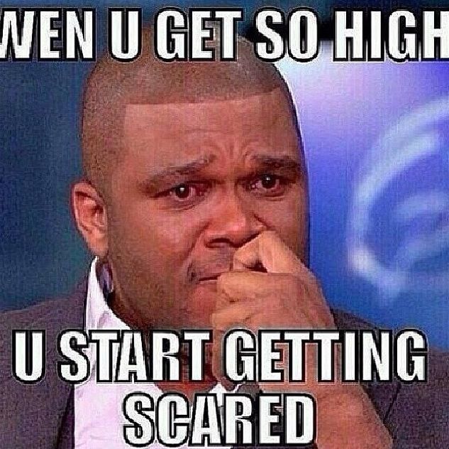 650652d6a9d67a4f8ba2b9ec95059755--weed-funny-the-closet.jpg
