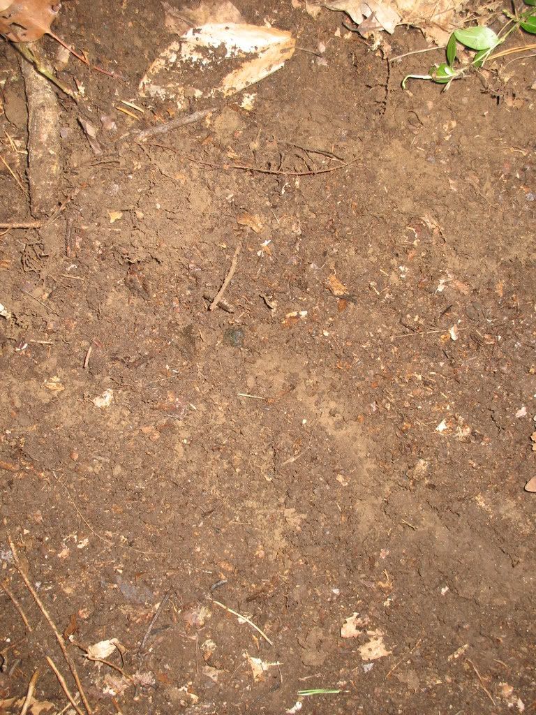 IMG_1099.jpg