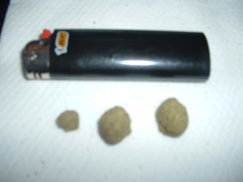 Kief2006.jpg
