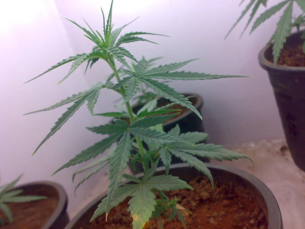 05012009331.jpg