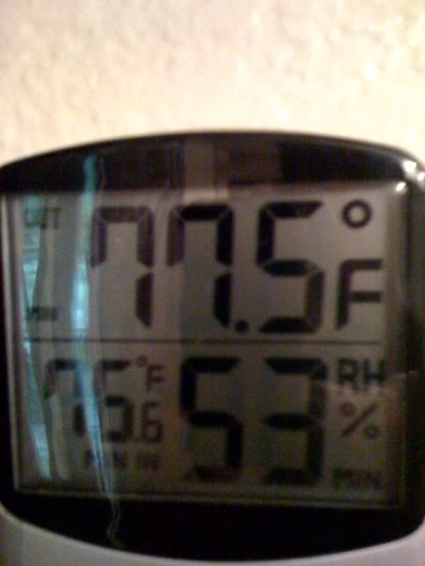 temp1.jpg