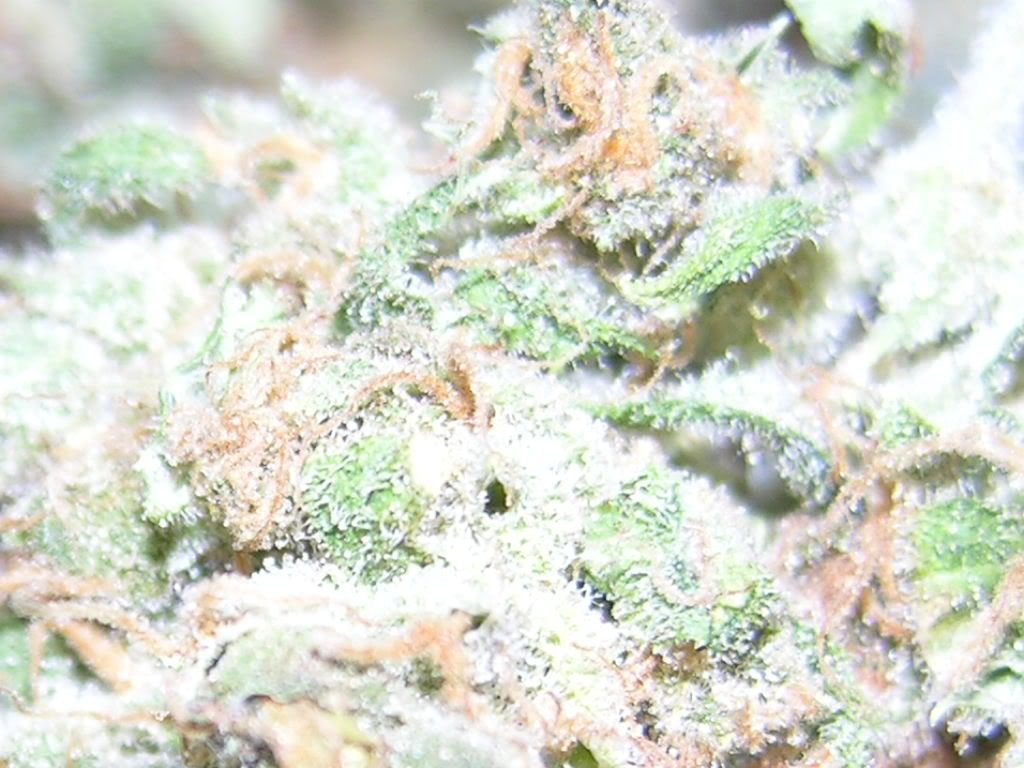 dry002.jpg