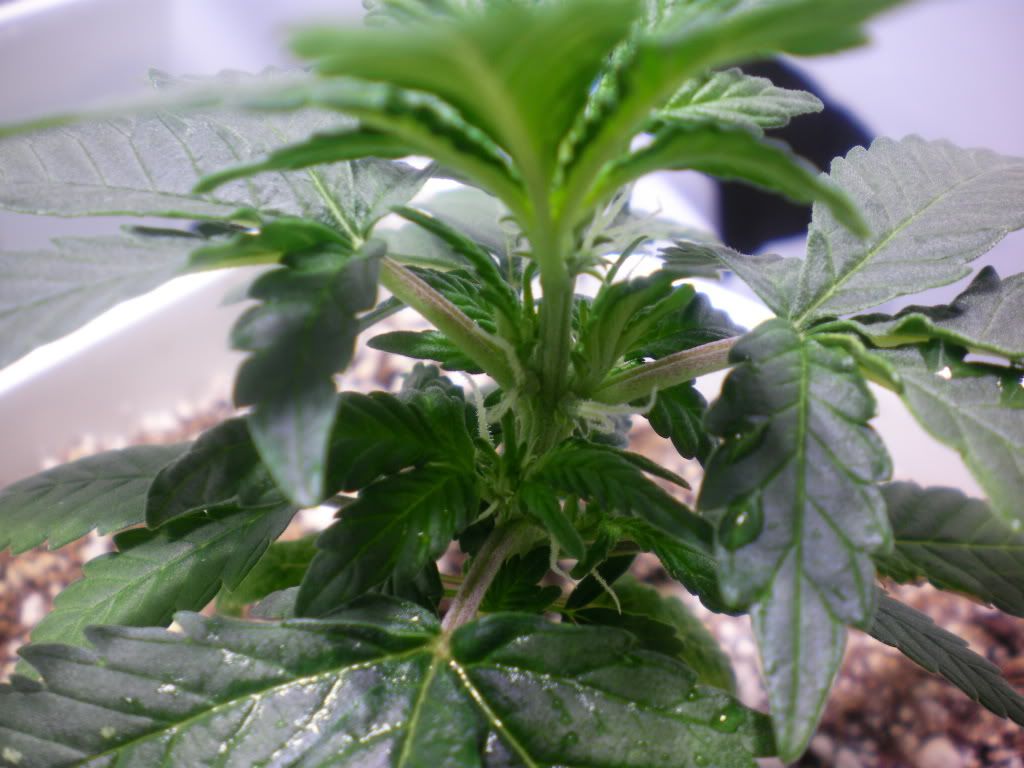 10-17-11003.jpg