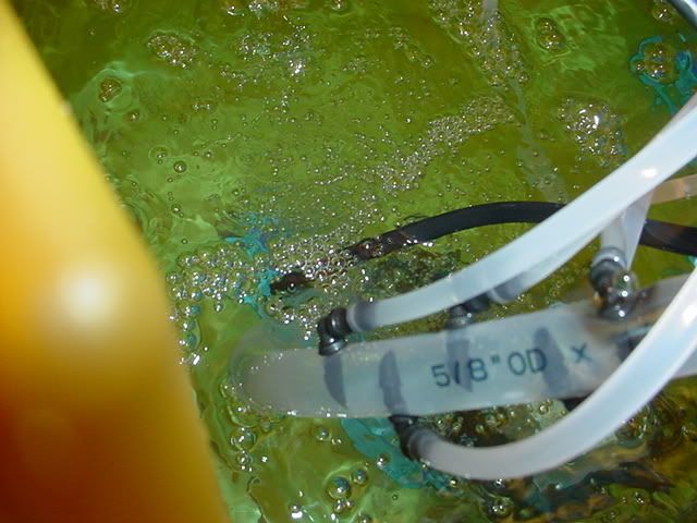 DSC00218.jpg