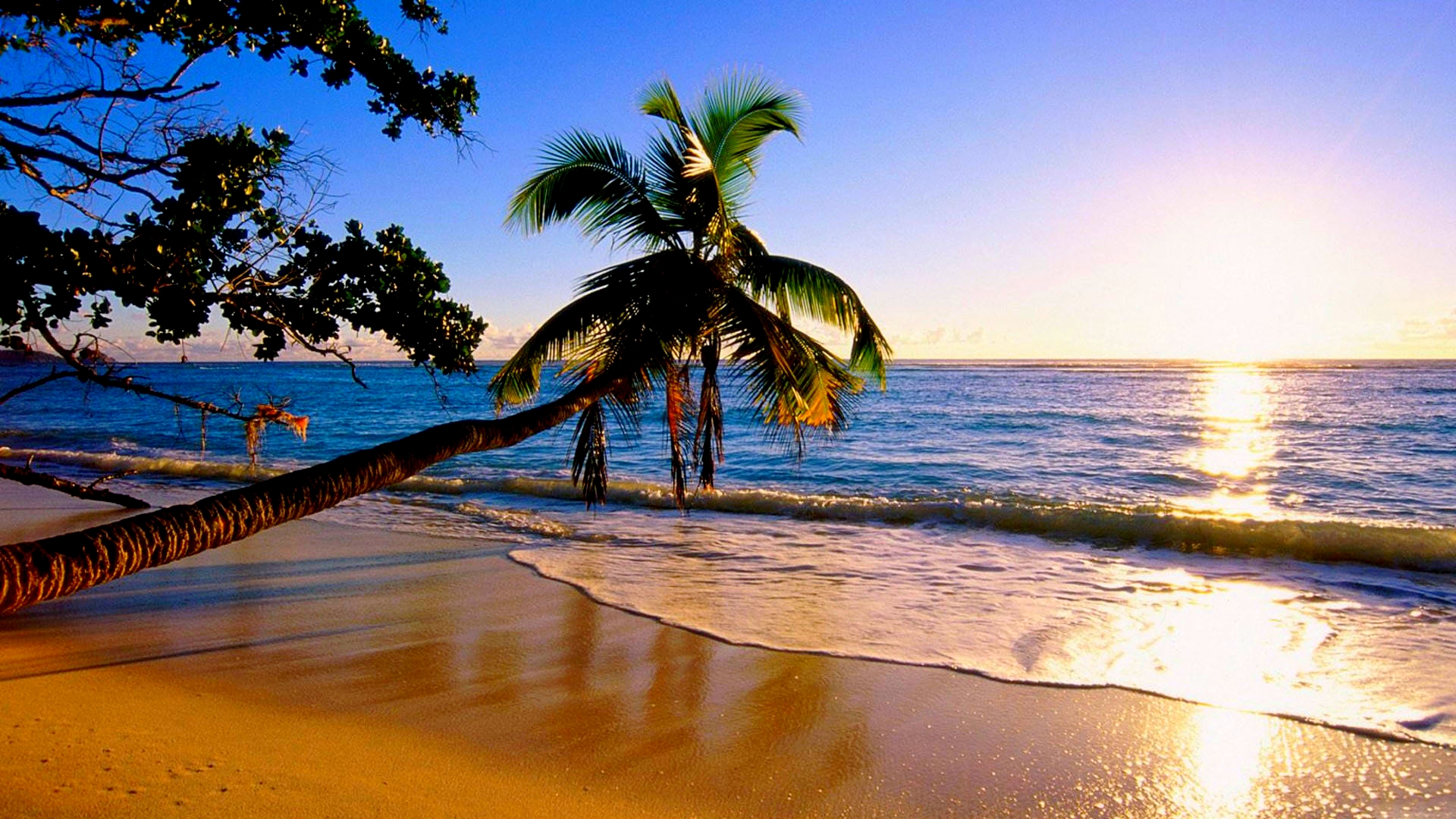 paradise.jpg