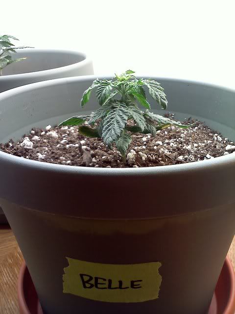 20120112131925.jpg