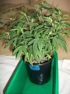 4-22-11065.jpg