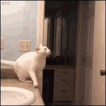gifs_09.gif