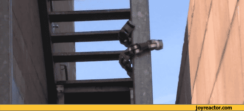 gif-robot-geek-snake-683270.gif