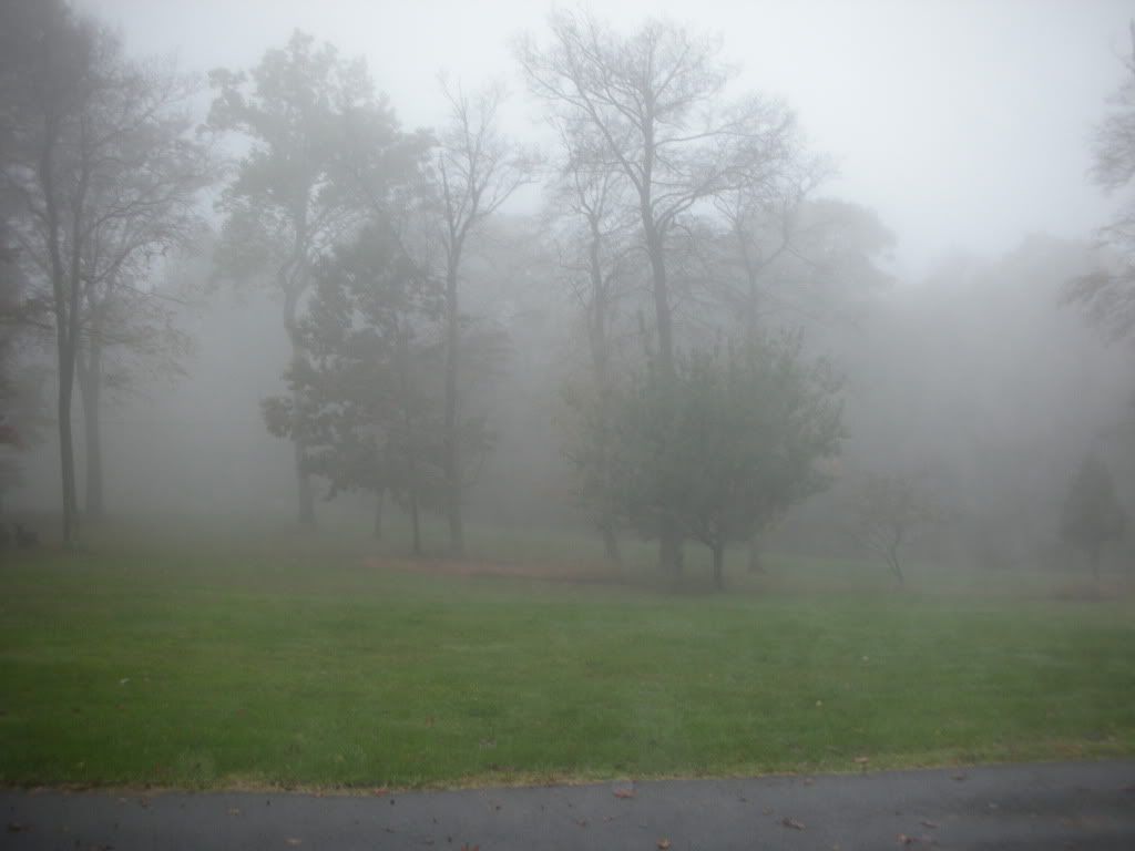 DSCN3626.jpg