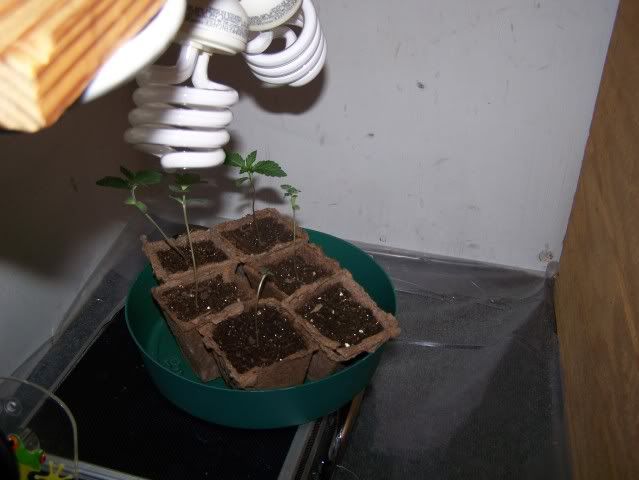 100_0858.jpg