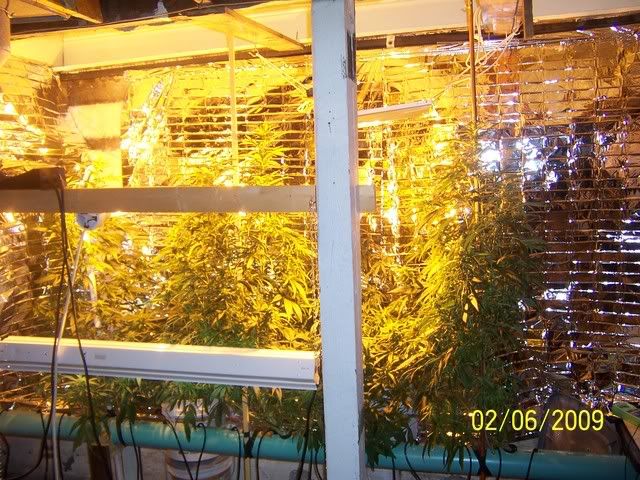 100_1282.jpg