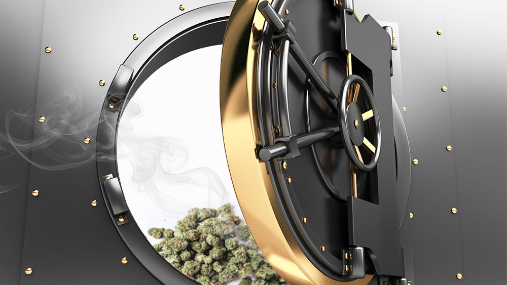 weed-vault.jpg
