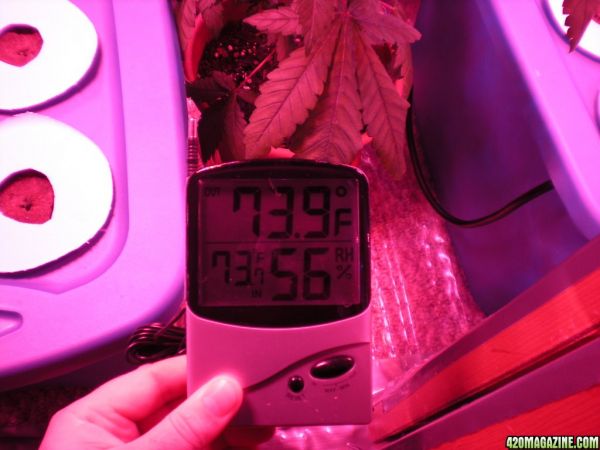 VegDay4_06.JPG