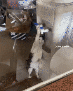 1677673302_17.gif