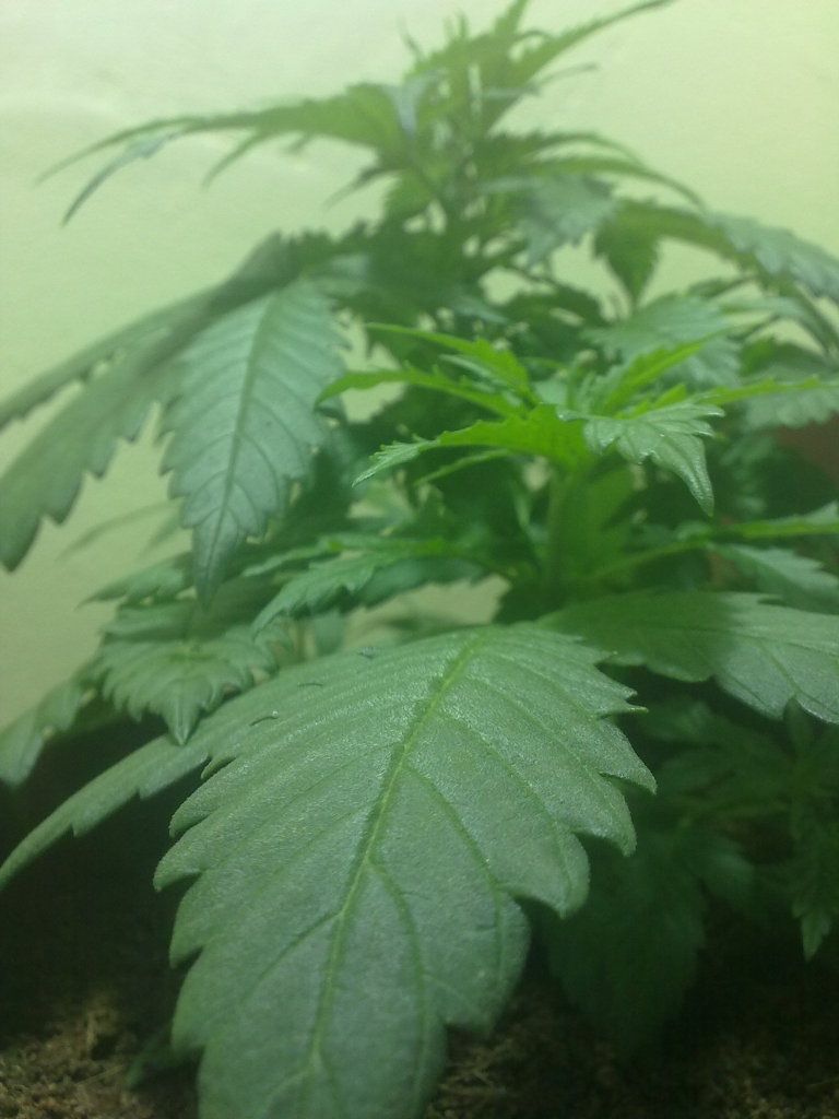 03072012552.jpg
