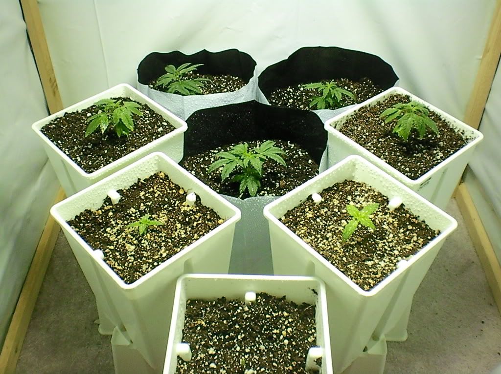 10-12-11002.jpg