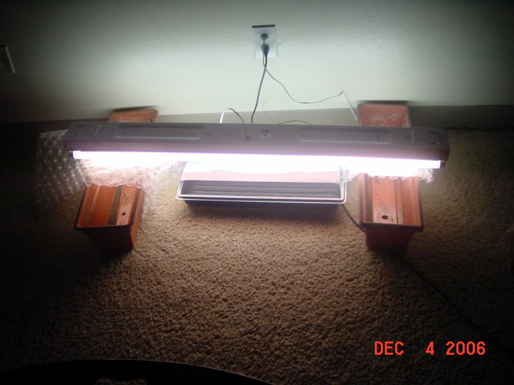 DSC02300.jpg