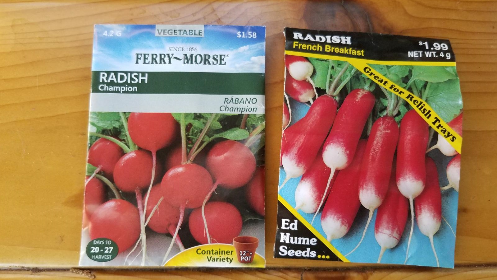 radish2.jpg