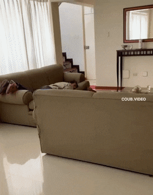 1657141976_2.gif