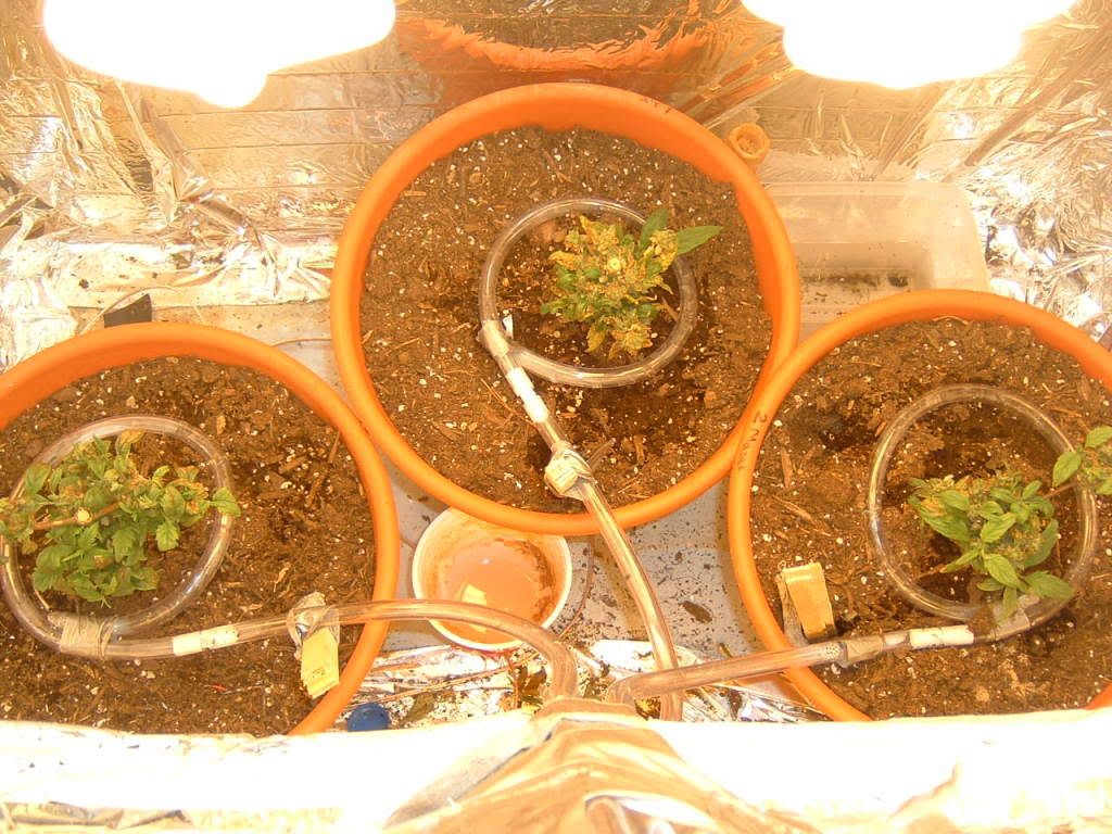 DSCF0005.jpg